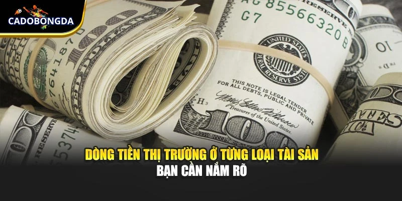 Dòng tiền thị trường ở từng loại tài sản bạn cần nắm rõ