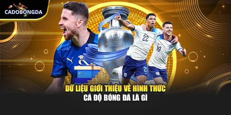 Dữ liệu giới thiệu về hình thức cá độ bóng đá là gì