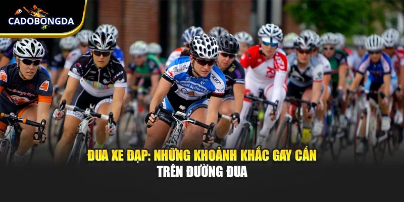 Đua Xe Đạp: Những Khoảnh Khắc Gay Cấn Trên Đường Đua