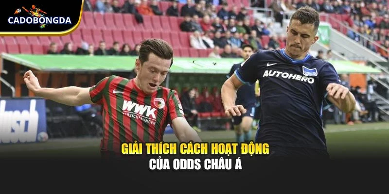 Giải thích cách hoạt động của odds châu Á