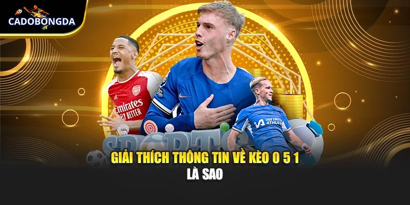 Giải thích thông tin về kèo 0 5 1 là sao