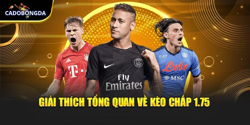 Giải thích tổng quan về kèo chấp 1.75