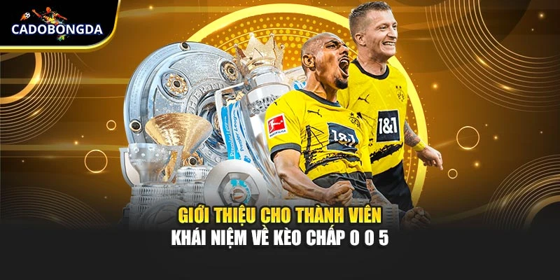 Giới thiệu cho thành viên khái niệm về kèo chấp 0 0 5 là gì