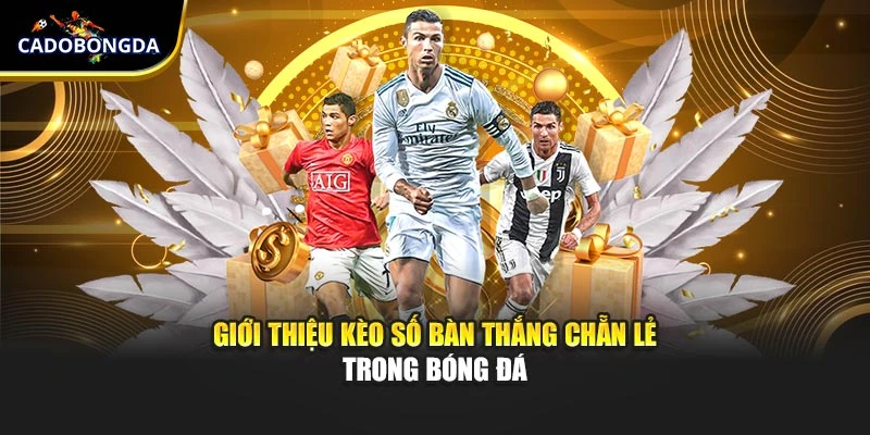 Giới thiệu kèo số bàn thắng chẵn lẻ trong bóng đá