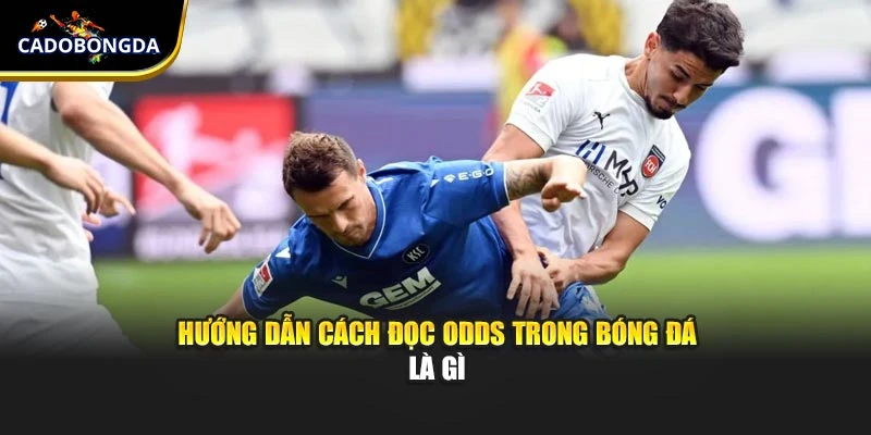 Hướng dẫn cách đọc odds trong bóng đá là gì