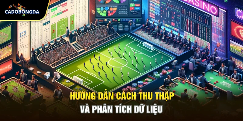 Hướng dẫn cách thu thập và phân tích dữ liệu