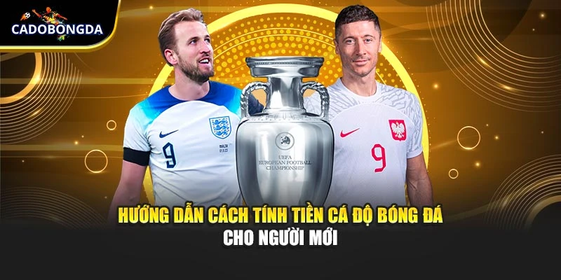 Hướng Dẫn Cách Tính Tiền Cá Độ Bóng Đá Cho Người Mới