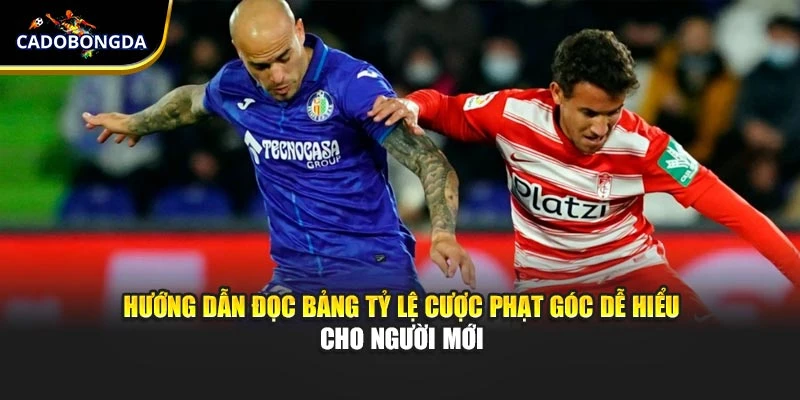 Hướng dẫn đọc bảng tỷ lệ cược phạt góc dễ hiểu cho người mới
