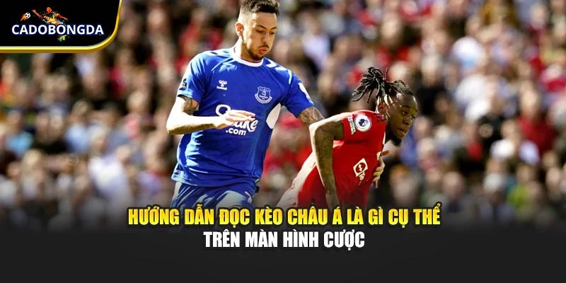 Hướng dẫn đọc kèo châu Á là gì cụ thể trên màn hình cược