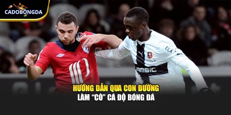 Hướng dẫn qua con đường làm “cò” cá độ bóng đá
