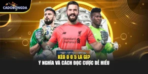Kèo 0 0 5 Là Gì? Ý Nghĩa Và Cách Đọc Cược Dễ Hiểu