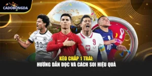 Kèo Chấp 1 Trái: Hướng Dẫn Đọc Và Cách Soi Hiệu Quả
