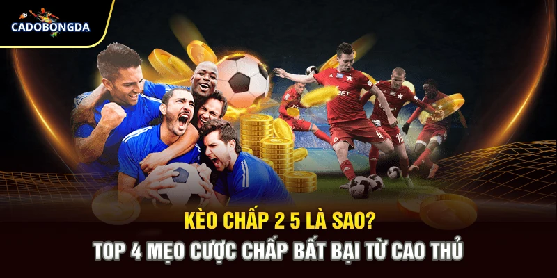 Kèo Chấp 2 5 Là Sao? Top 4 Mẹo Cược Chấp Bất Bại Từ Cao Thủ