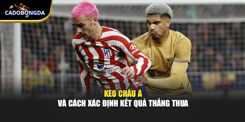 Kèo châu Á và cách xác định kết quả thắng thua