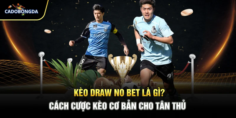 Kèo Draw No Bet Là Gì? Cách Cược Kèo Cơ Bản Cho Tân Thủ