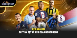 Kèo Nhà Cái - Tất Tần Tật Về Kèo Của Cadobongda