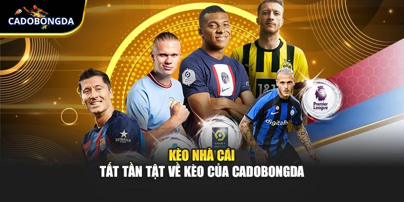 Kèo Nhà Cái - Tất Tần Tật Về Kèo Của Cadobongda