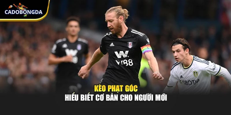 Kèo phạt góc - Hiểu biết cơ bản cho người mới