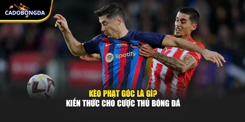 Kèo Phạt Góc Là Gì? Kiến Thức Cho Cược Thủ Bóng Đá