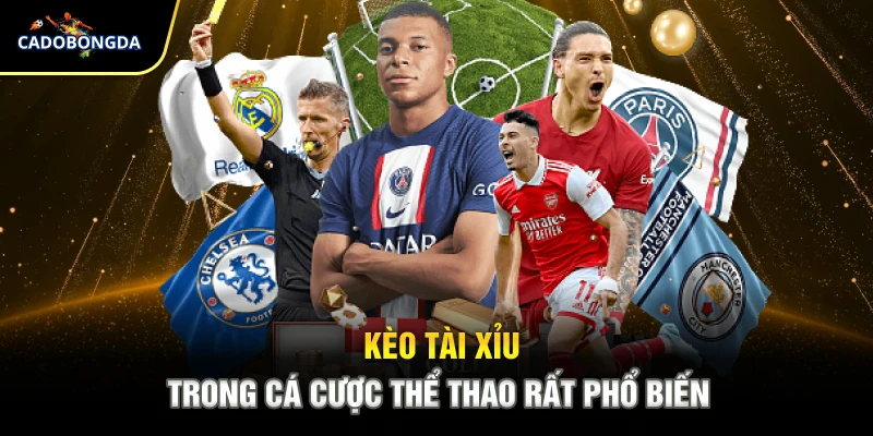 Kèo tài xỉu trong cá cược thể thao rất phổ biến