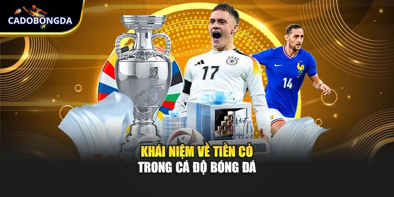 Khái niệm về tiền cỏ trong cá độ bóng đá