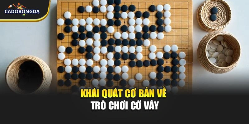 Khái quát cơ bản về trò chơi cờ vây