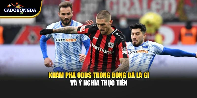 Khám Phá Odds Trong Bóng Đá Là Gì Và Ý Nghĩa Thực Tiễn