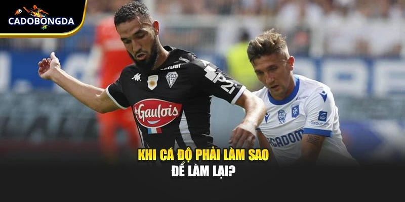 Khi cá độ phải làm sao để làm lại?