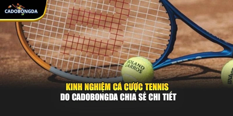 Kinh Nghiệm Cá Cược Tennis Do Cadobongda Chia Sẻ Chi Tiết