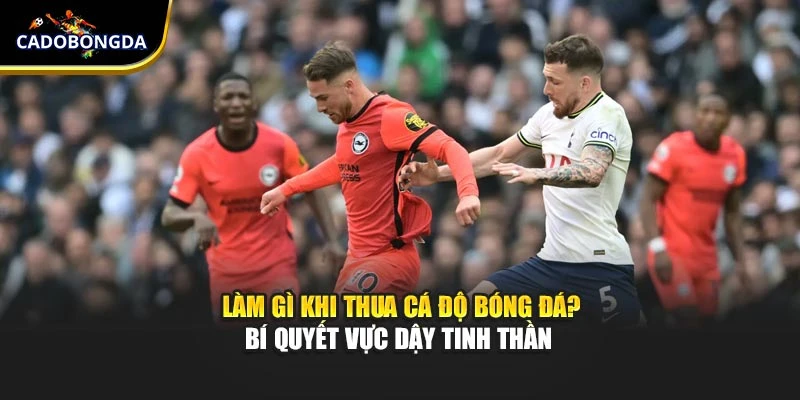 Làm Gì Khi Thua Cá Độ Bóng Đá? Bí Quyết Vực Dậy Tinh Thần