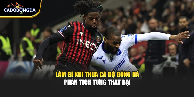 Làm gì khi thua cá độ bóng đá - Phân tích từng thất bại