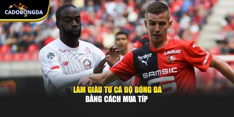 Làm giàu từ cá độ bóng đá bằng cách mua típ