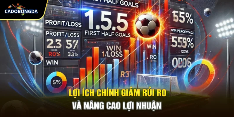 Lợi ích chính giảm rủi ro và nâng cao lợi nhuận