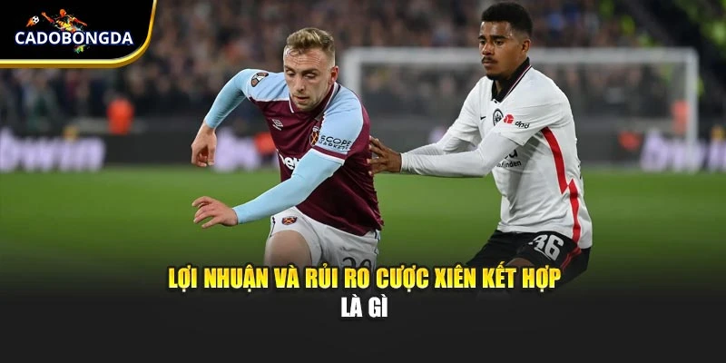                Lợi nhuận và rủi ro cược xiên kết hợp là gì