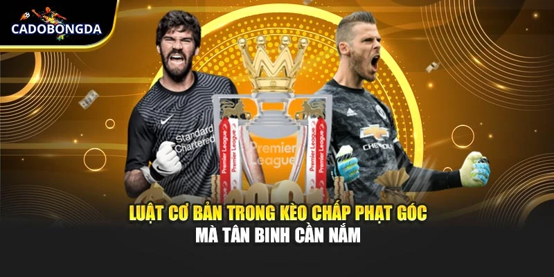 Luật cơ bản trong kèo chấp phạt góc mà tân binh cần nắm