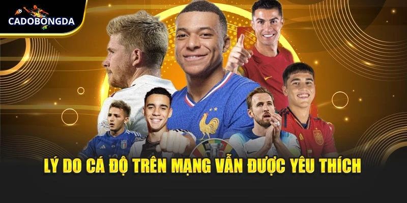 Lý do cá độ trên mạng vẫn được yêu thích