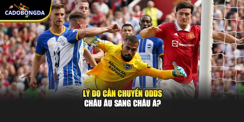Lý do cần chuyển Odds Châu Âu sang Châu Á?