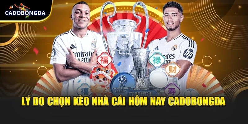 Lý do chọn kèo nhà cái hôm nay cadobongda