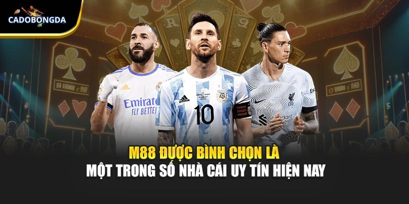 M88 được bình chọn là một trong số nhà cái uy tín hiện nay