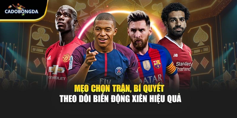 Mẹo chọn trận, bí quyết theo dõi biến động xiên hiệu quả