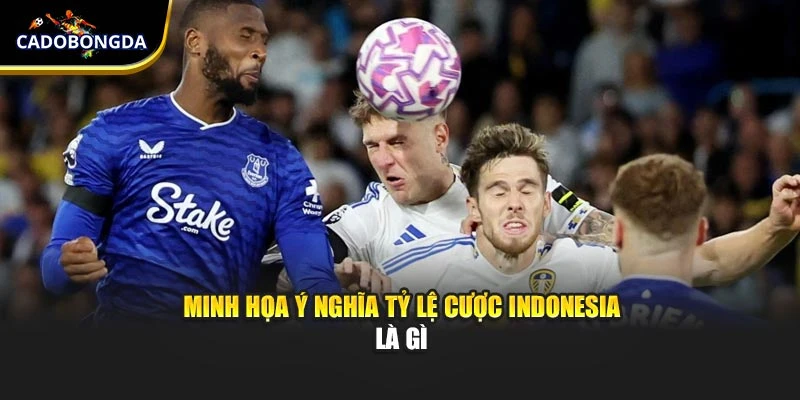 Minh họa ý nghĩa tỷ lệ cược Indonesia là gì