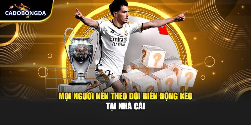 Mọi người nên theo dõi biến động kèo tại nhà cái