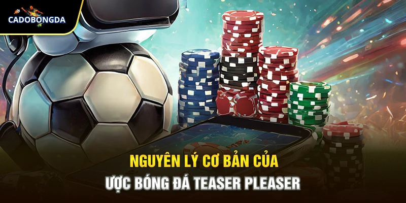Nguyên lý cơ bản của cược bóng đá teaser pleaser