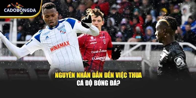 Nguyên nhân dẫn đến việc thua cá độ bóng đá?