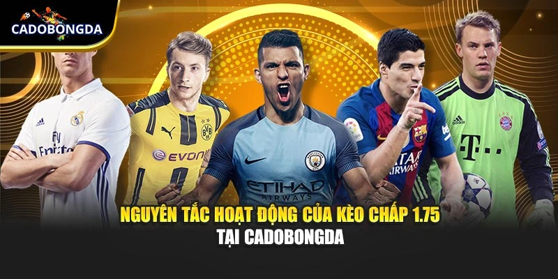 Nguyên tắc hoạt động cần nắm về của kèo chấp 1.75