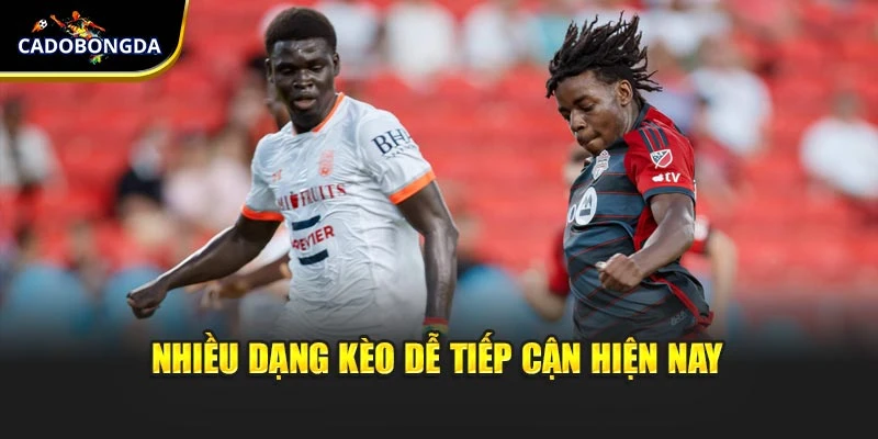 Nhiều dạng kèo dễ tiếp cận hiện nay