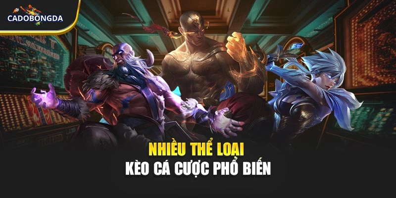 Nhiều thể loại kèo cá cược phổ biến