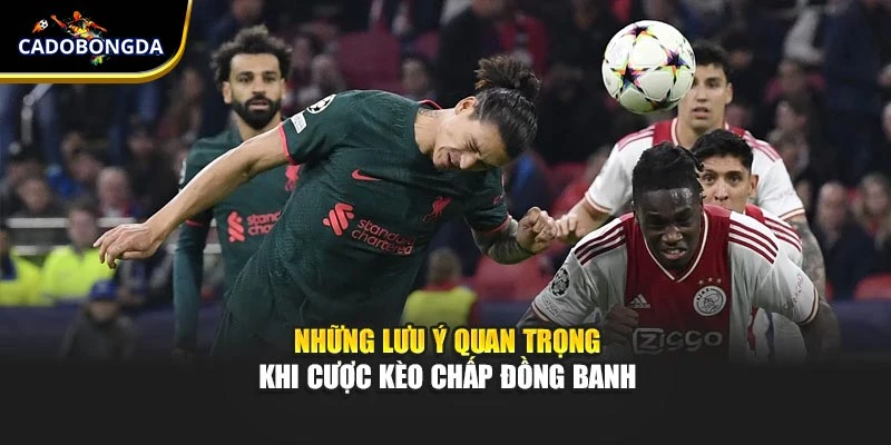 Những lưu ý quan trọng khi cược kèo chấp đồng banh