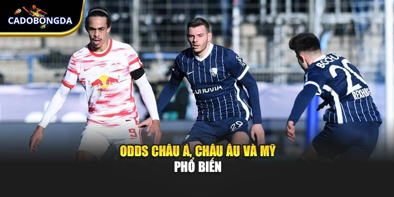 Odds châu Á, châu Âu và Mỹ phổ biến
