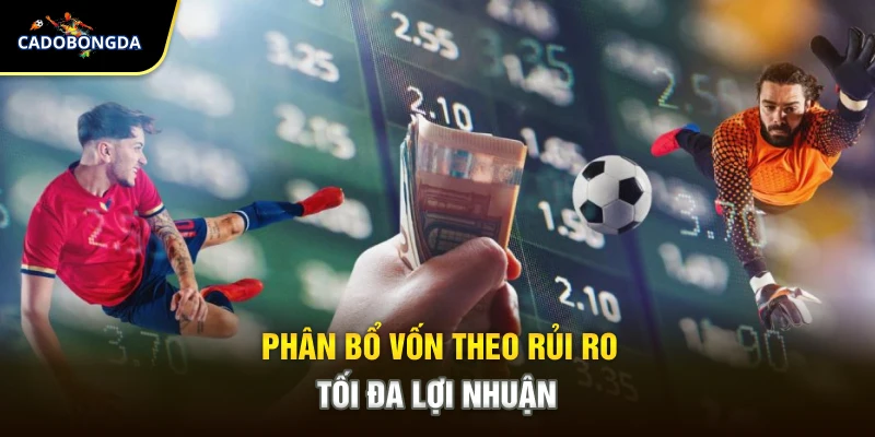 Phân bổ vốn theo rủi ro tối đa lợi nhuận